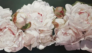 Peonies White