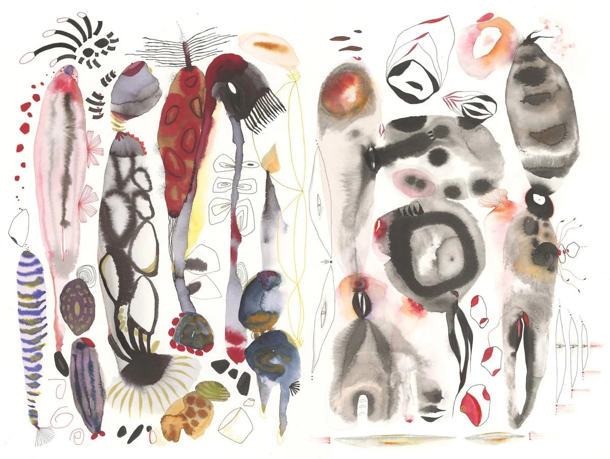 The Joy of a Wild World