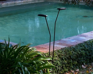 Birdie - Set 2 - Outdoor