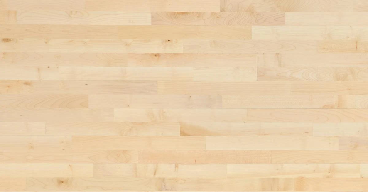 Maple
