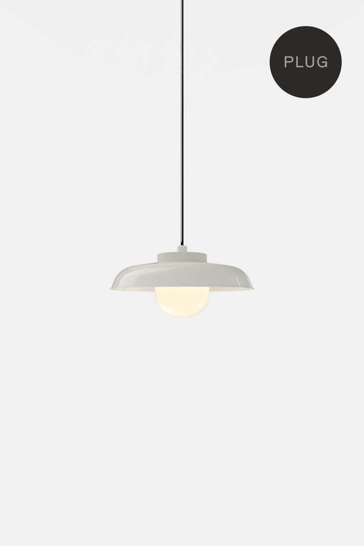 Hoist Pendant Plug-in