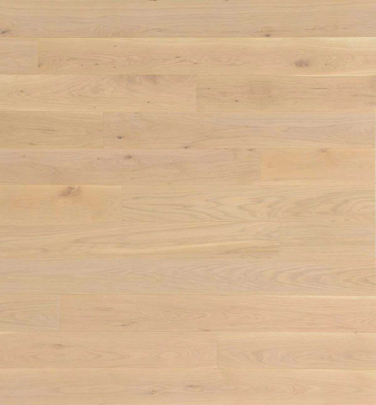 Oak Nordic Boulevard