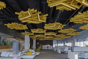 SoftGrid® Light Flux