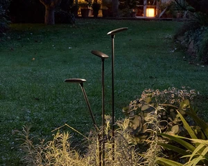 Birdie - Set 3 - Outdoor