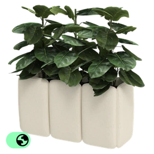 BuzziChicle Planter