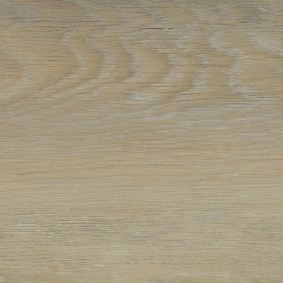 Urban Duplex (12 Mil)